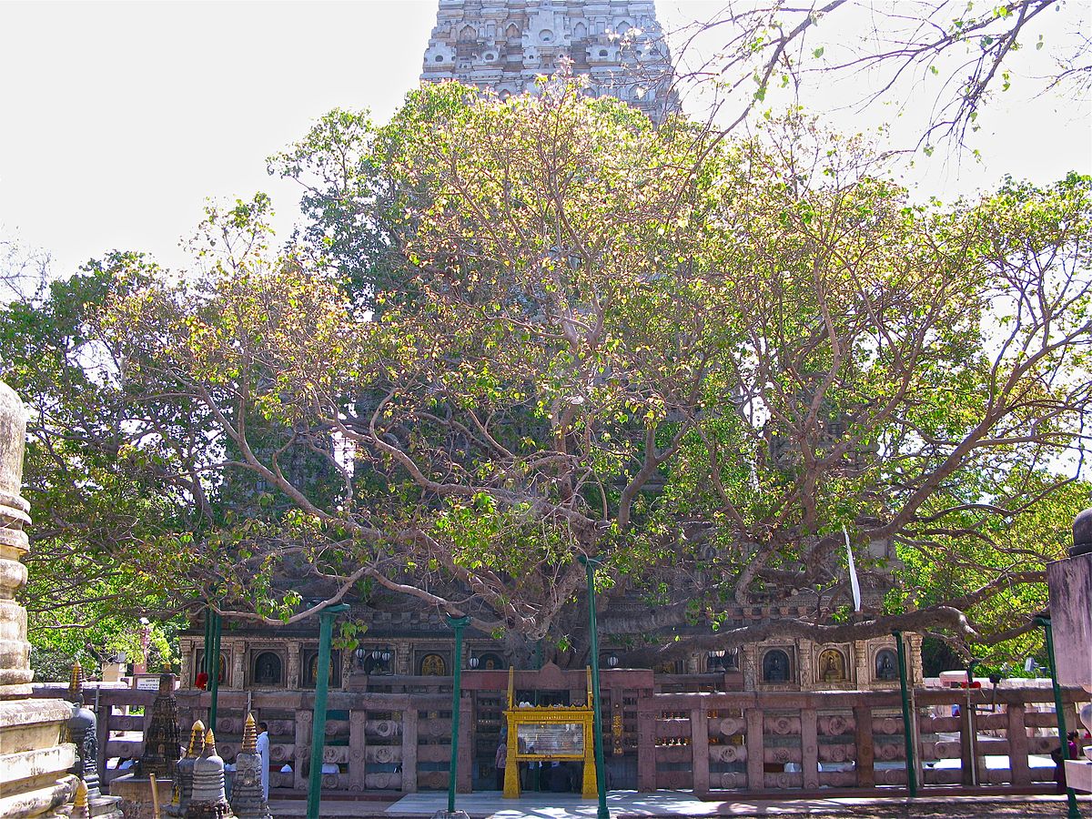 1200px-Bodhgaya_3639641913_f4c5f73689_t.jpg