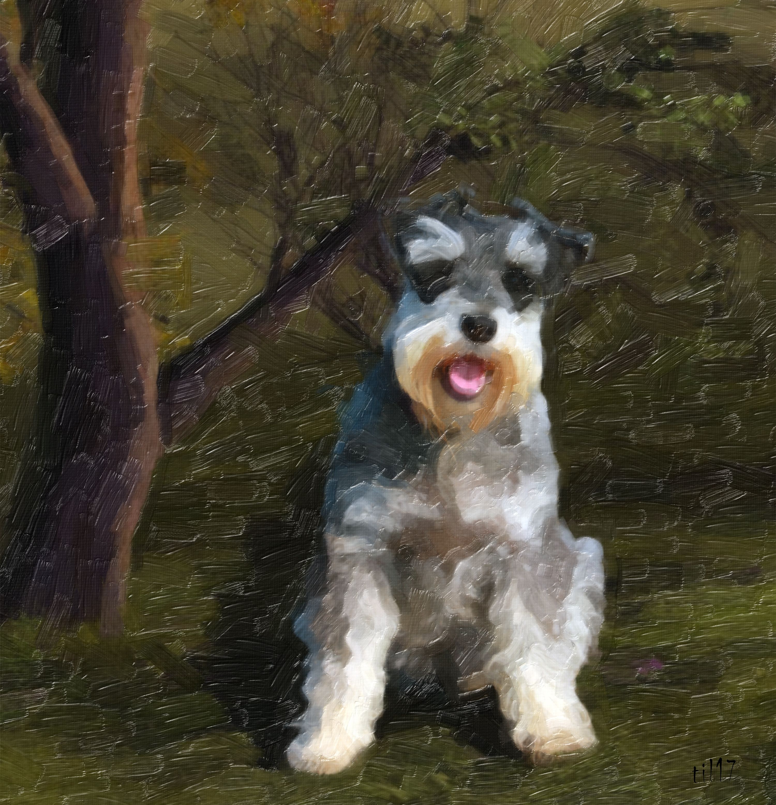 schnauzer.jpg