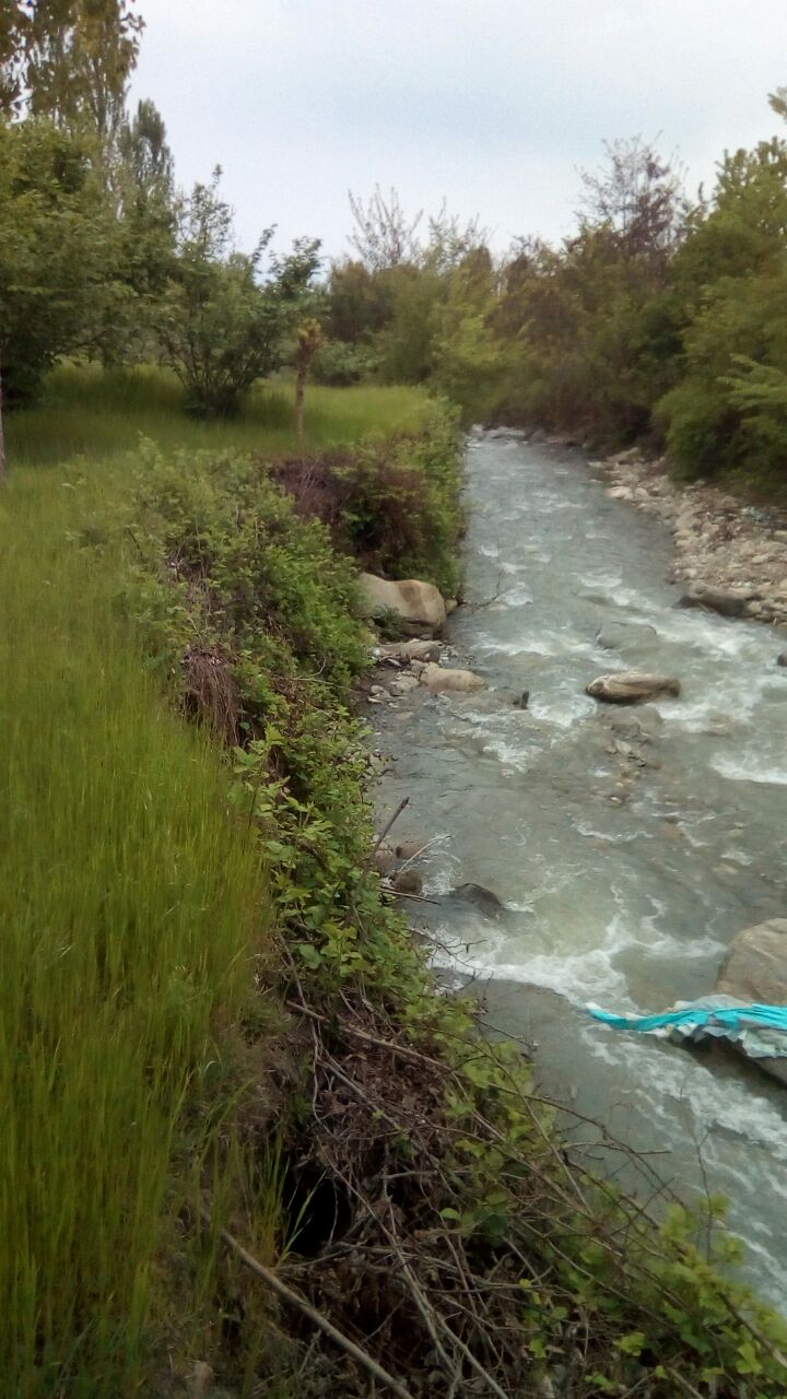 IMG-20180428-WA0005.jpg