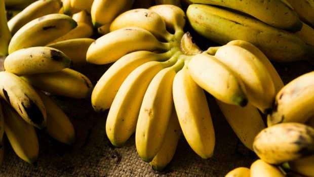 banana_620x350_61478592730.jpg