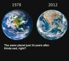 4331ce030e5ce50c48a7542355e426e9--global-warming-so-sad.jpg