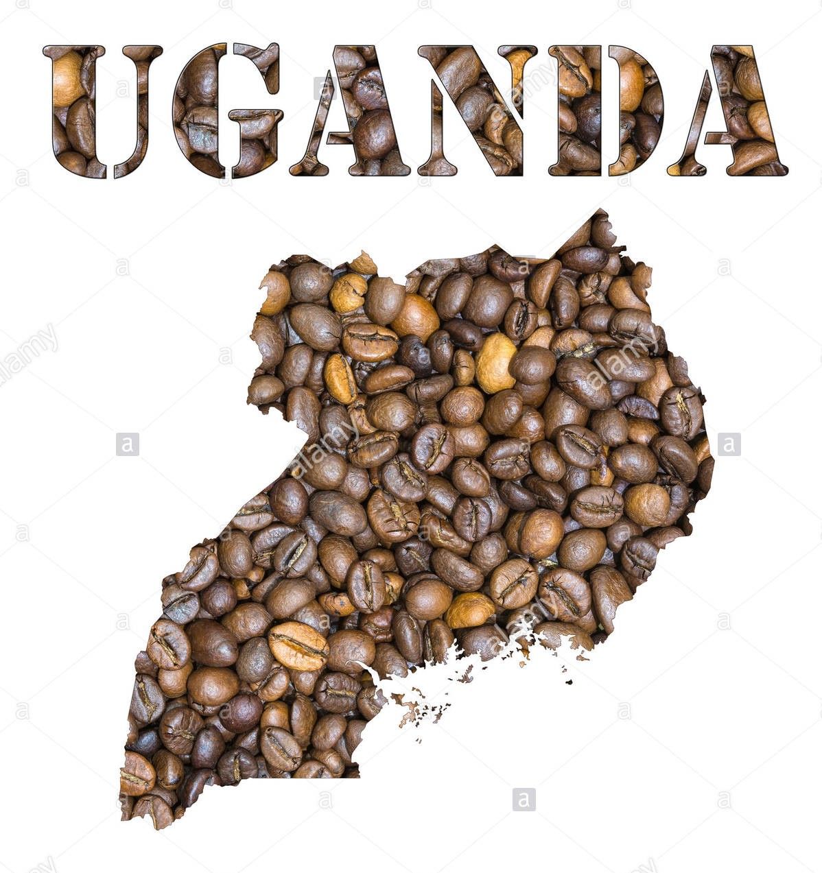 roasted-brown-coffee-beans-background-with-the-shape-of-the-word-uganda-F7E89M.jpg