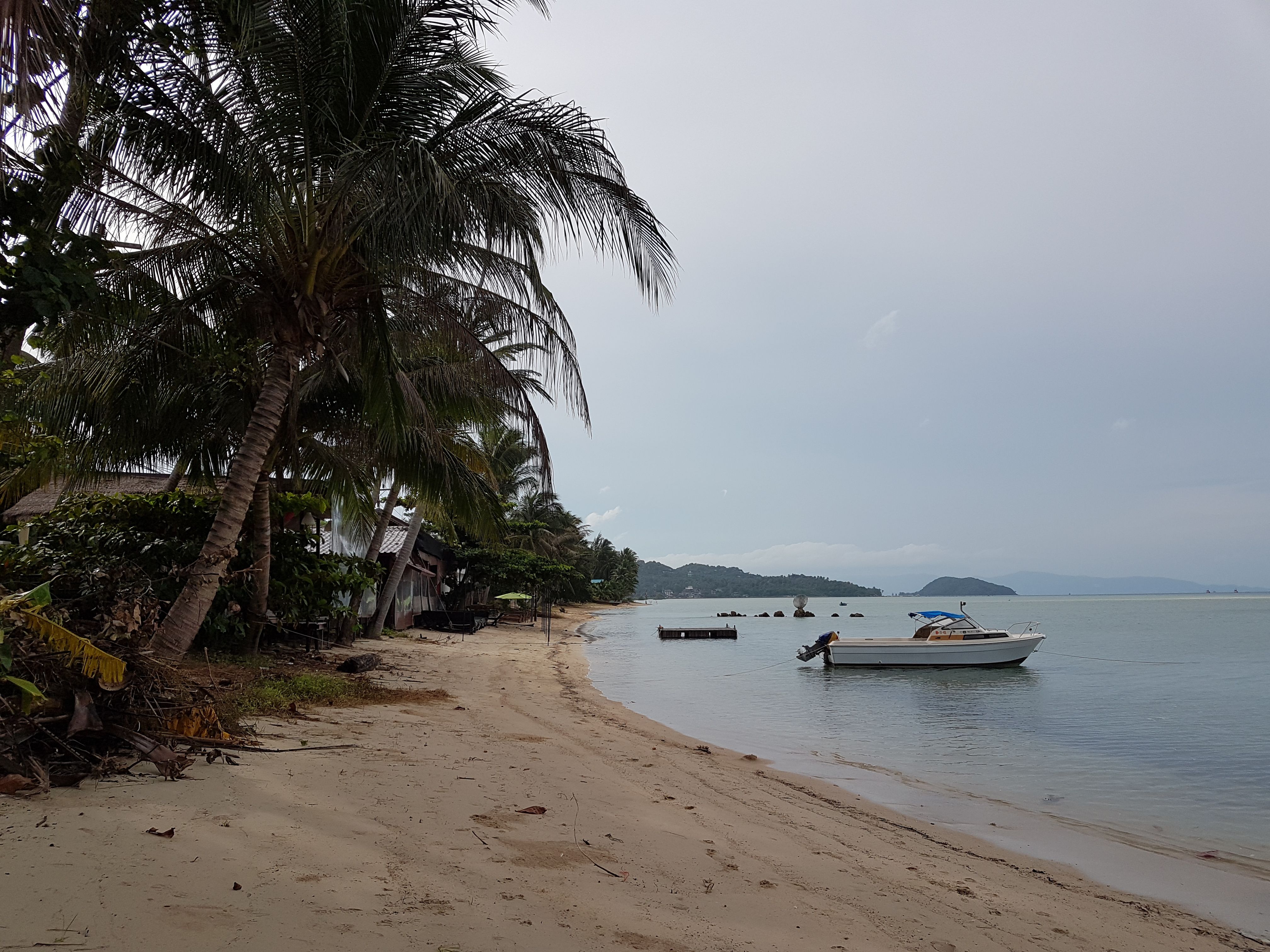 20171126_084427.jpg