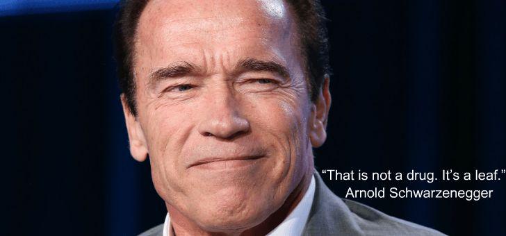 Arnold_Schwarzeneggar_on_MJ.jpg