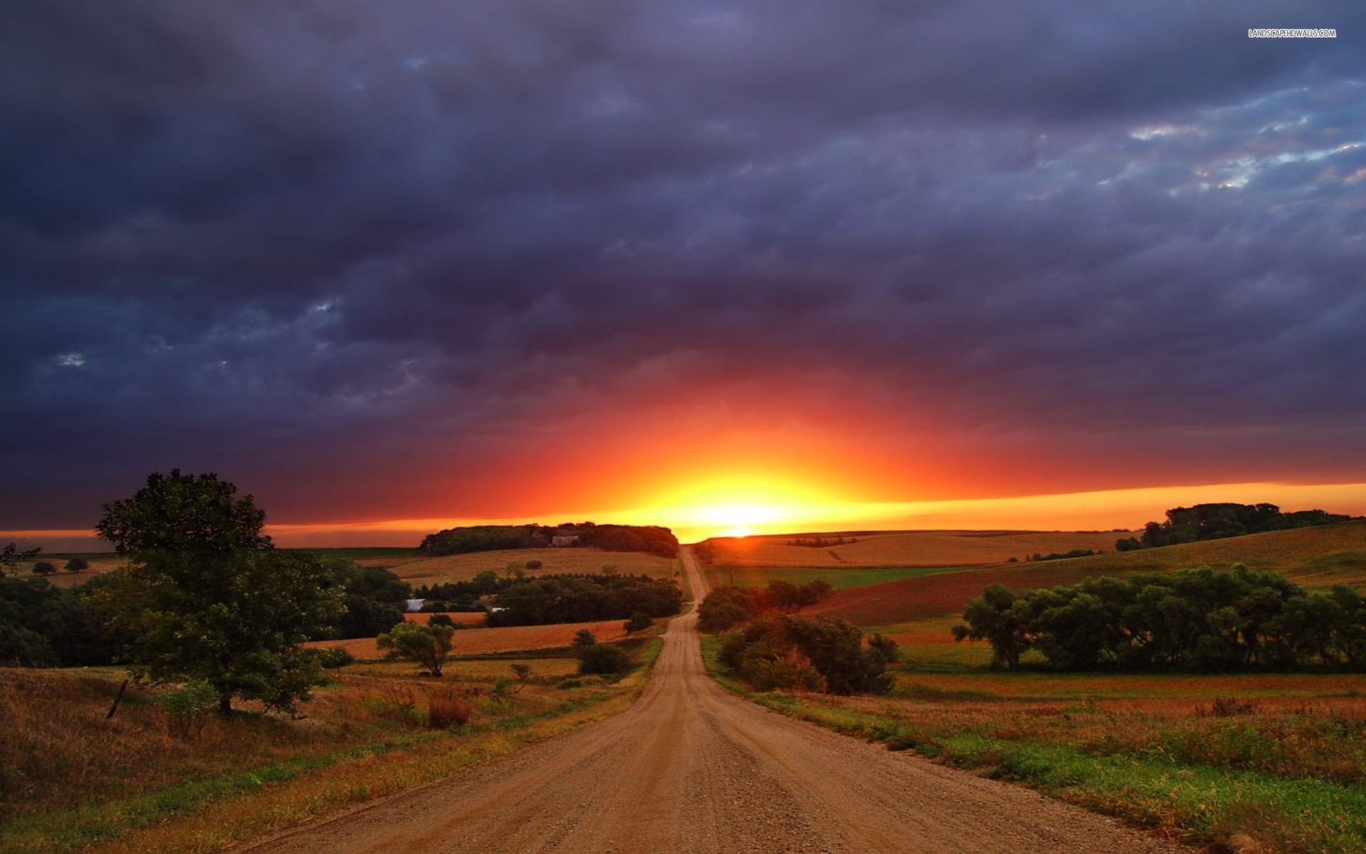 sunset-sky-cloud-road-tree-field.jpg