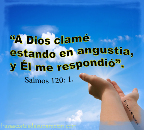 frases-biblicas-cortas (1).png