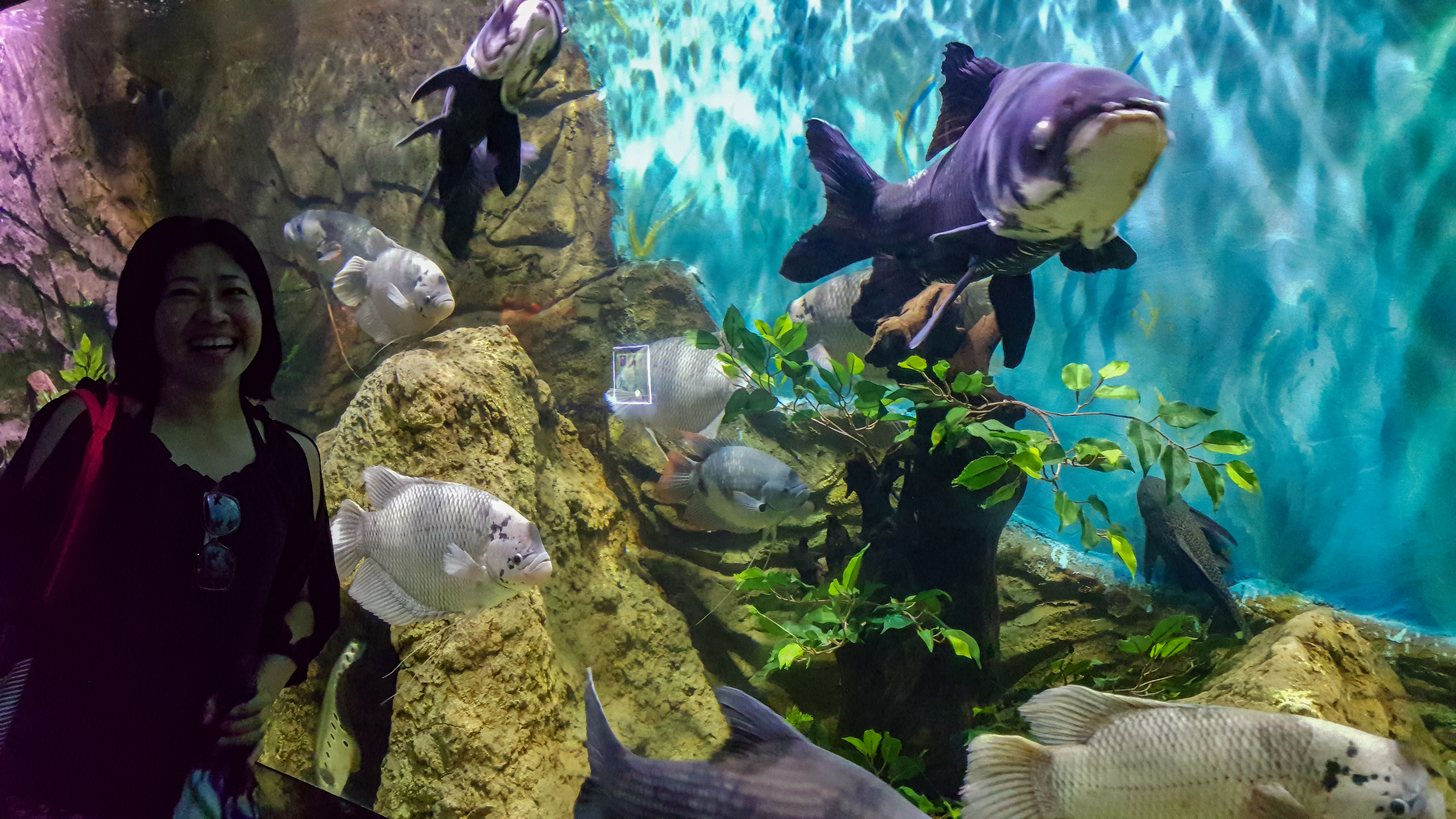 Vinpearl Land Phu Quoc Aquarium 4.jpg