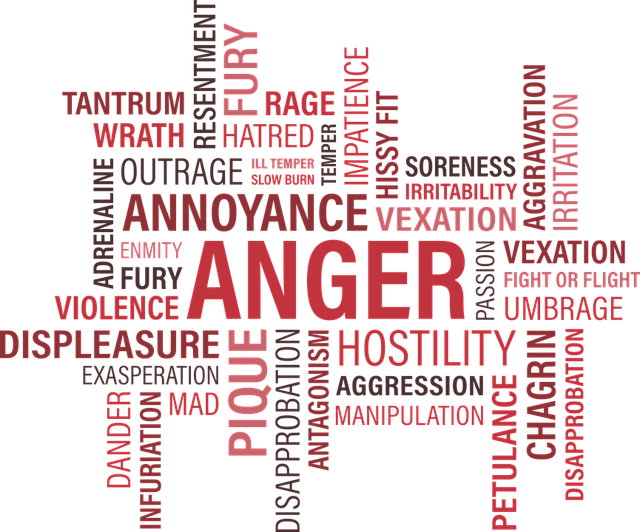 anger-1462088_640.png