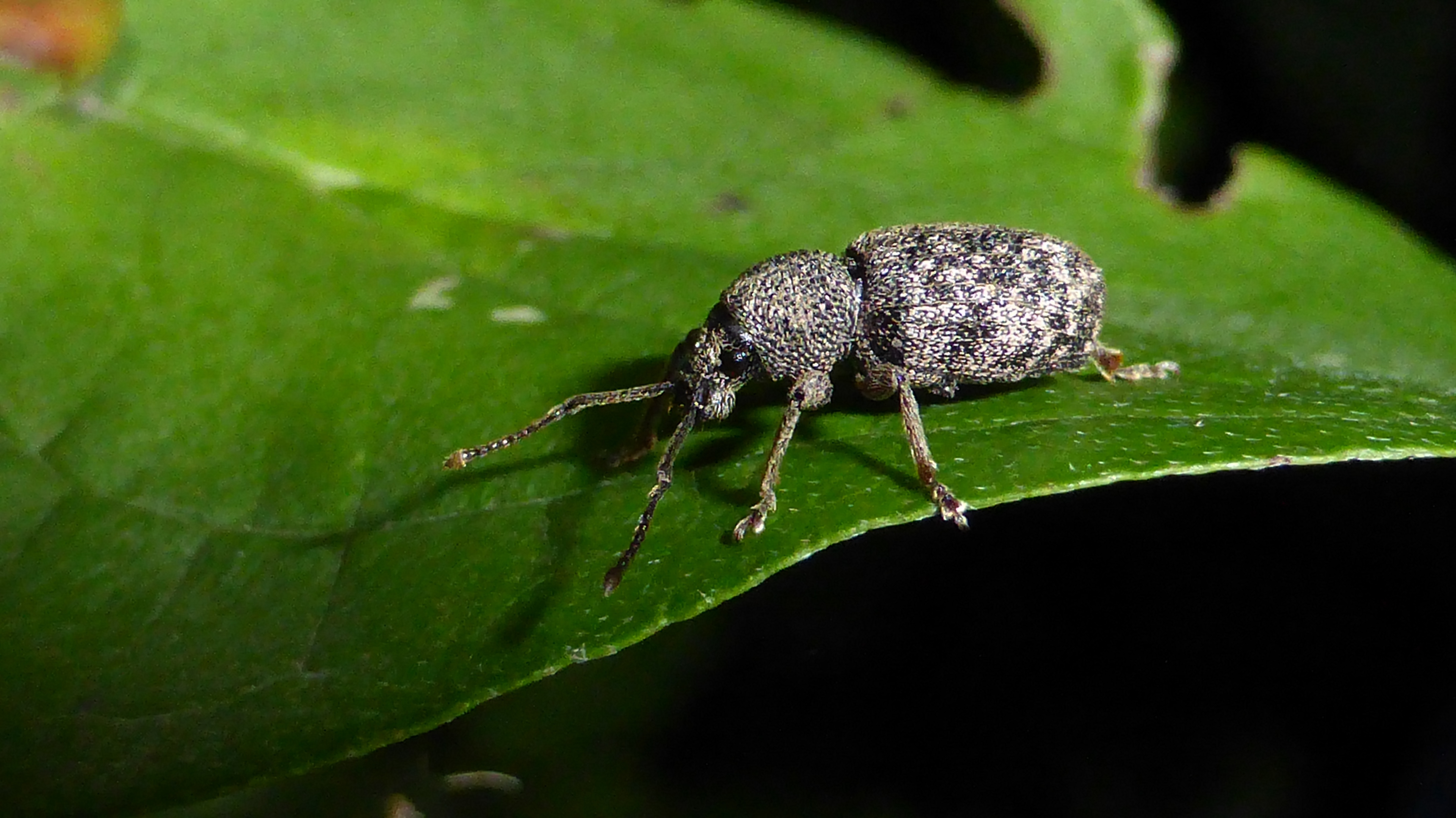 P1250666.JPG