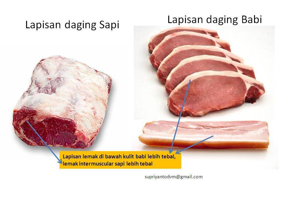 daging babi vs sapi3.jpg