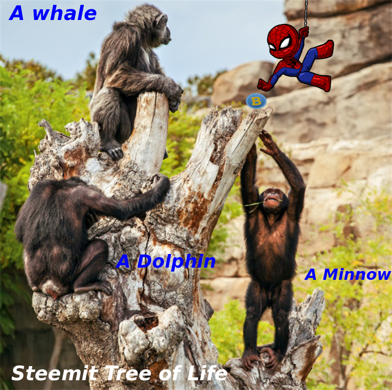 tree.png