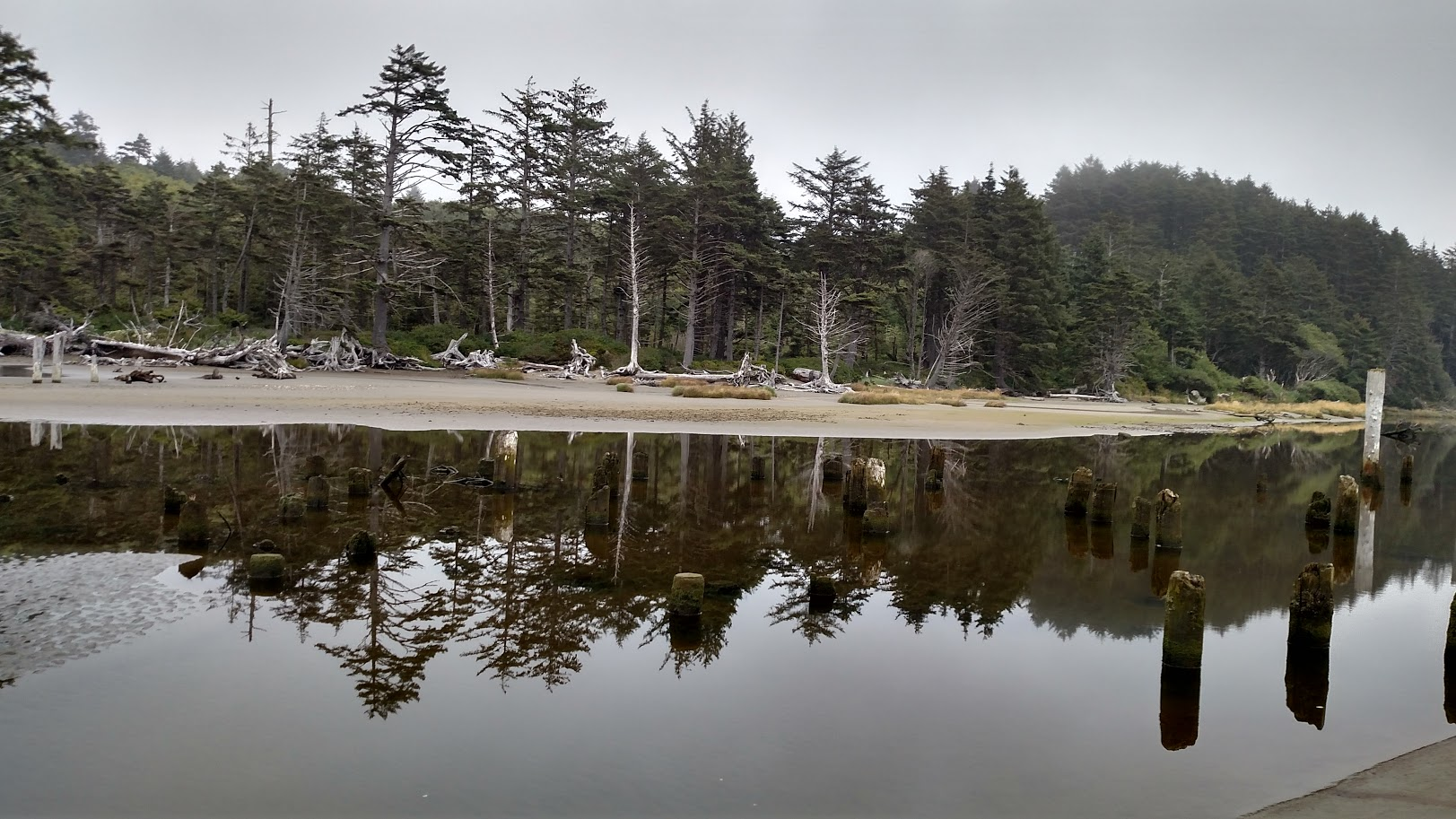 Washington Coast