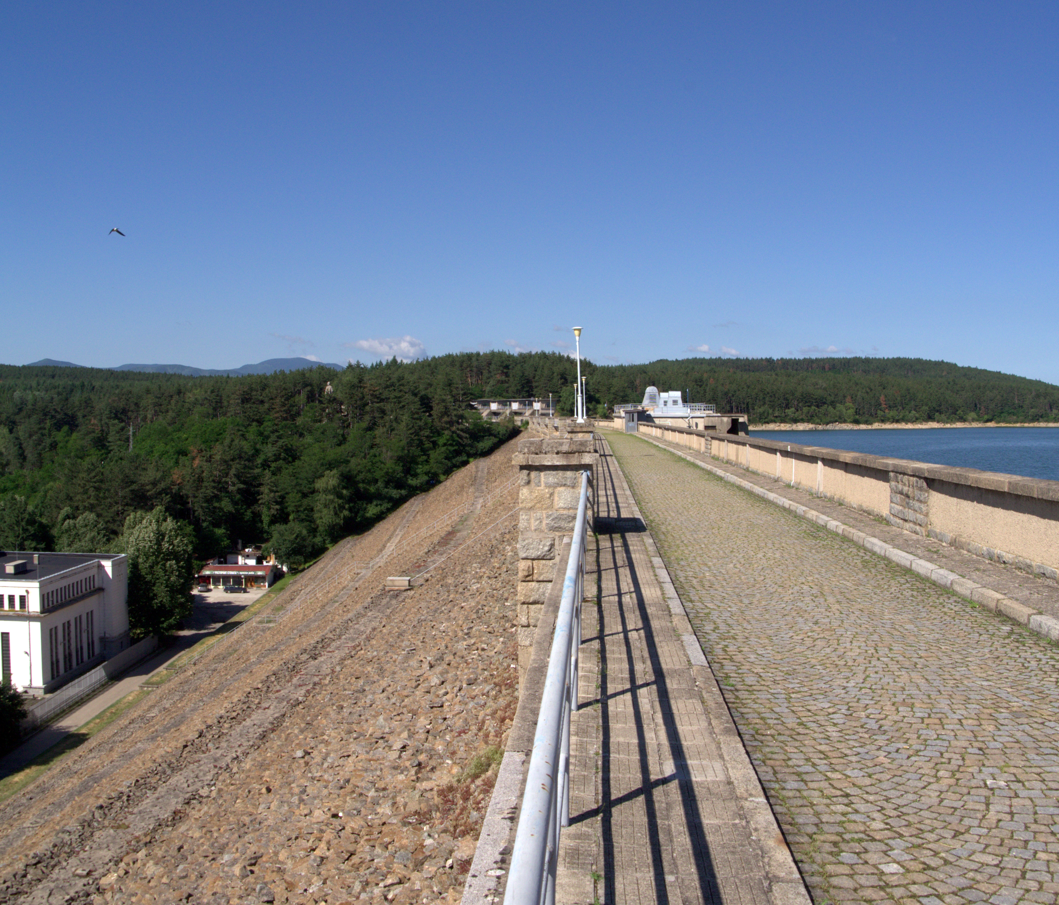 P1040936.RW2.jpg