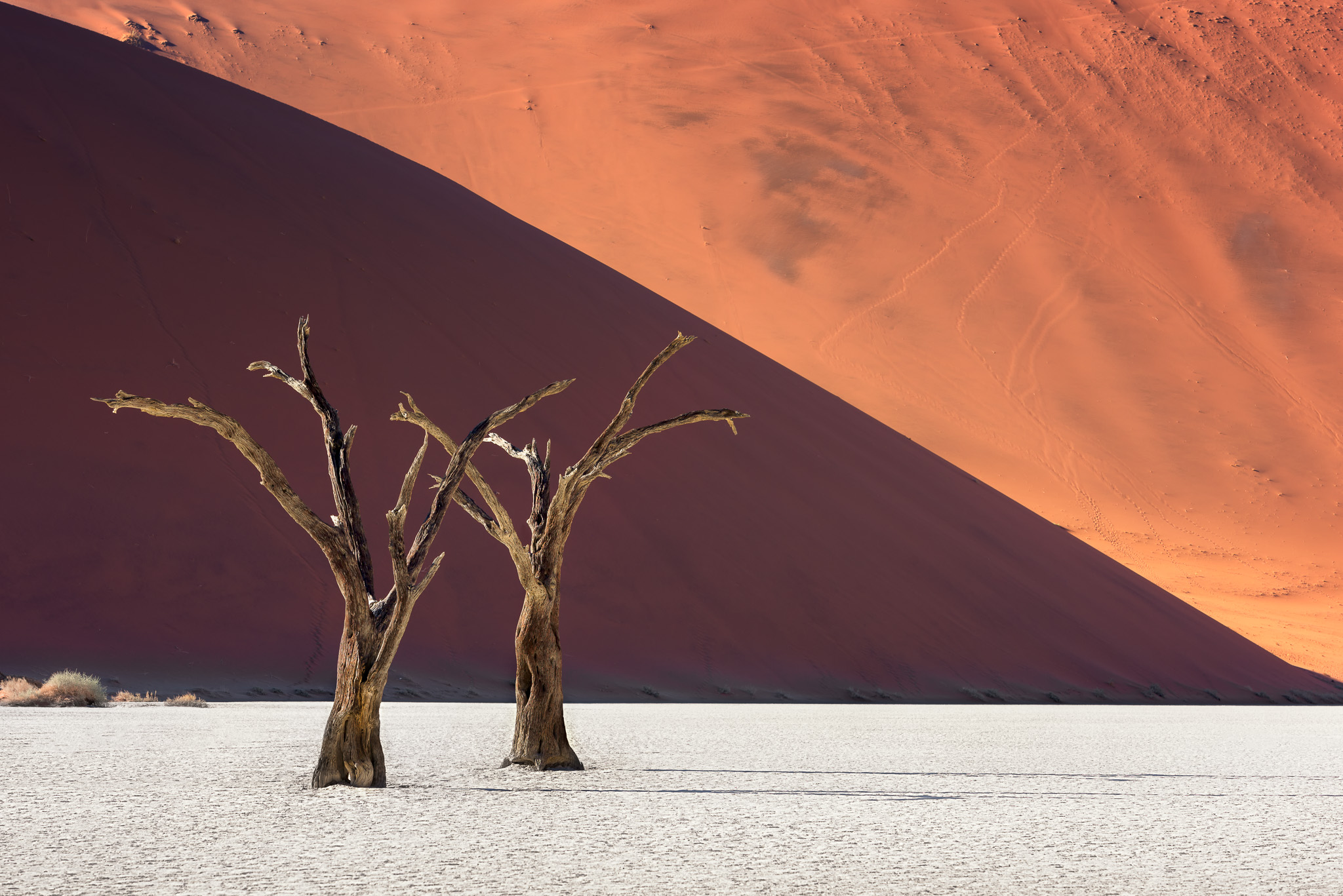 Dead-Acacia-Trees-and-Red-Dunes-of-Deadvlei-in-Namib-Naukluft-Park-Namibia6.jpg