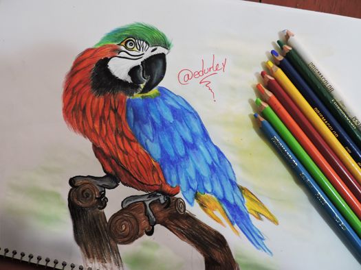 loro6.jpg