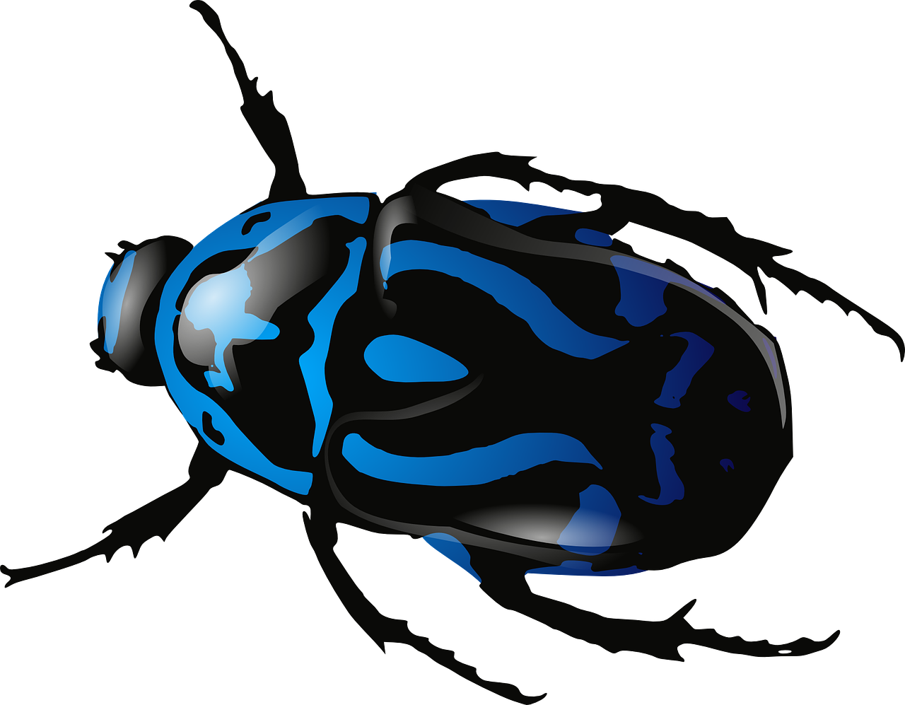 beetle-34372_1280.png