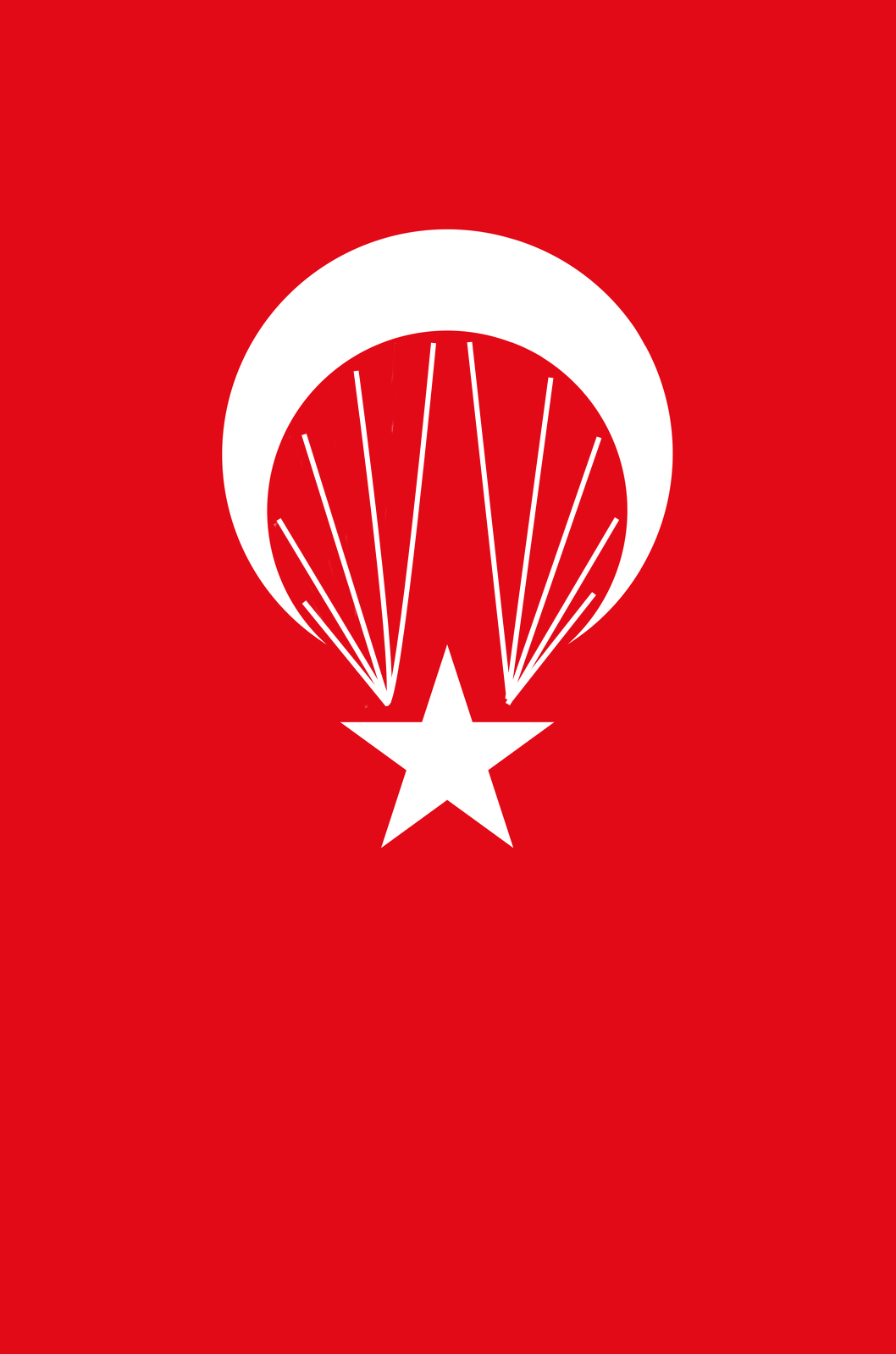 Flag_of_ParaTurkey2.png