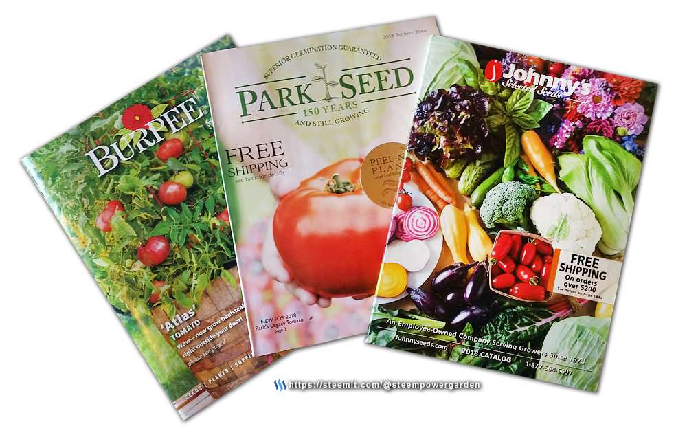 Seed-Buying-Catalogs-SteemPowerGarden.png