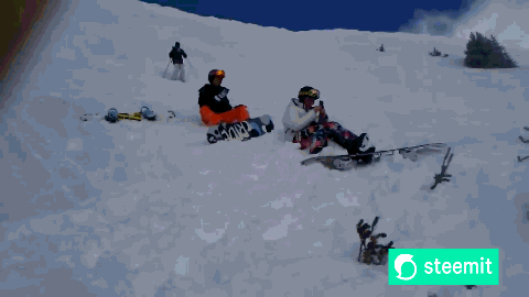 429.gif