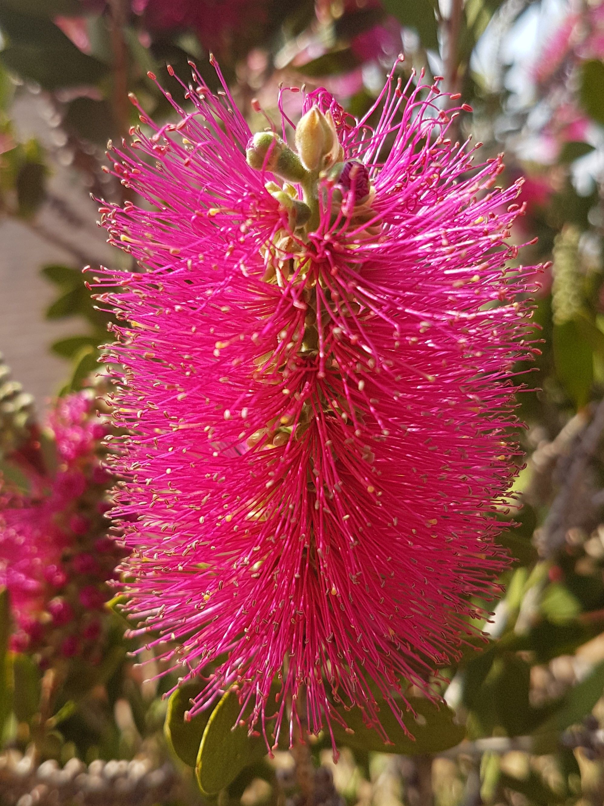 20170926_133008.jpg
