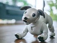 aibo-200.jpg