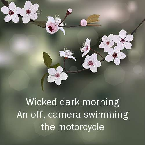 Camera - A Haiku