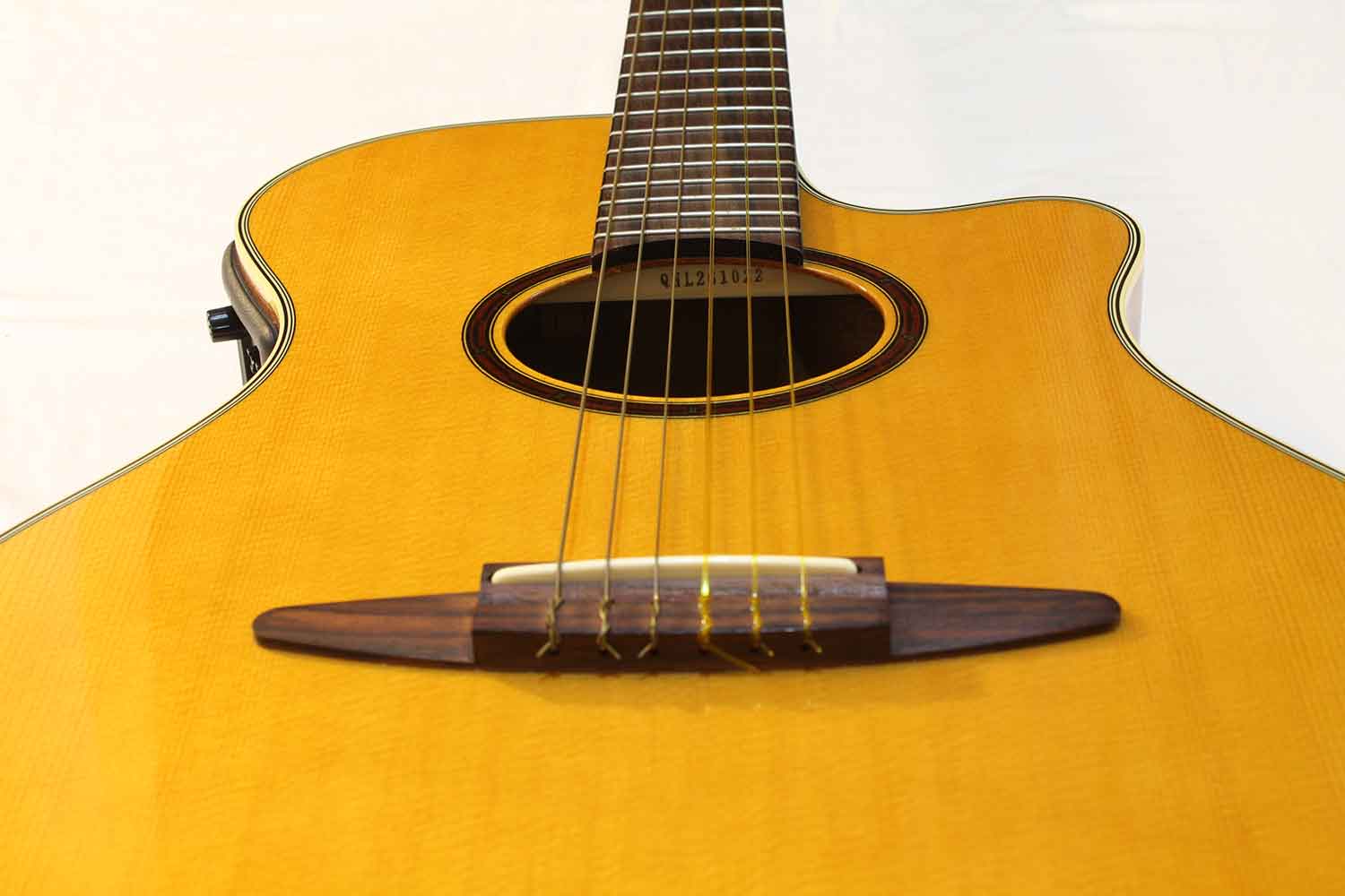 Nylon-string_electric_acoustic_guitar_view_from_bottom_-_Mark's_Guitars_123_(2009-08-19_by_R924).jpg