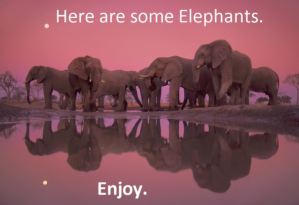 twilight-of-the-giant-elephants.jpg