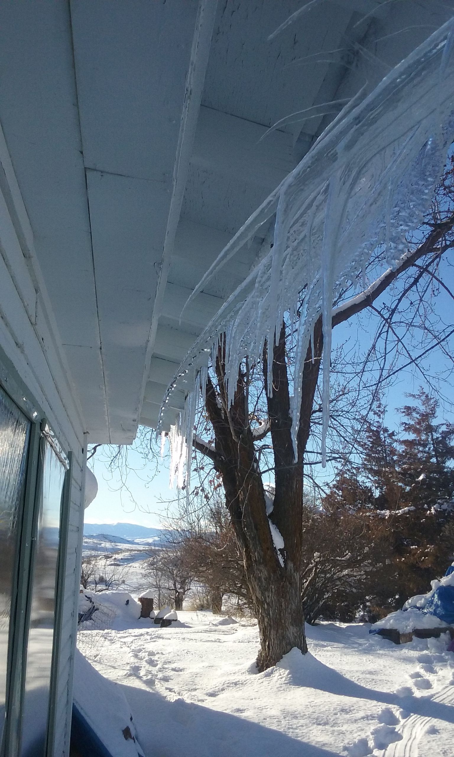 20180226_165642.jpg