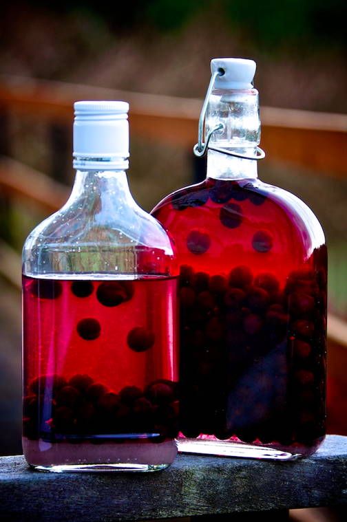 ce0b211f89398b9354e05f032c069780--sloe-berries-sloe-gin-recipes.jpg