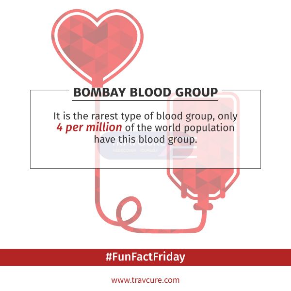 78b6ab01a131f071a6dac14424405fe4--blood-types-bombay.jpg