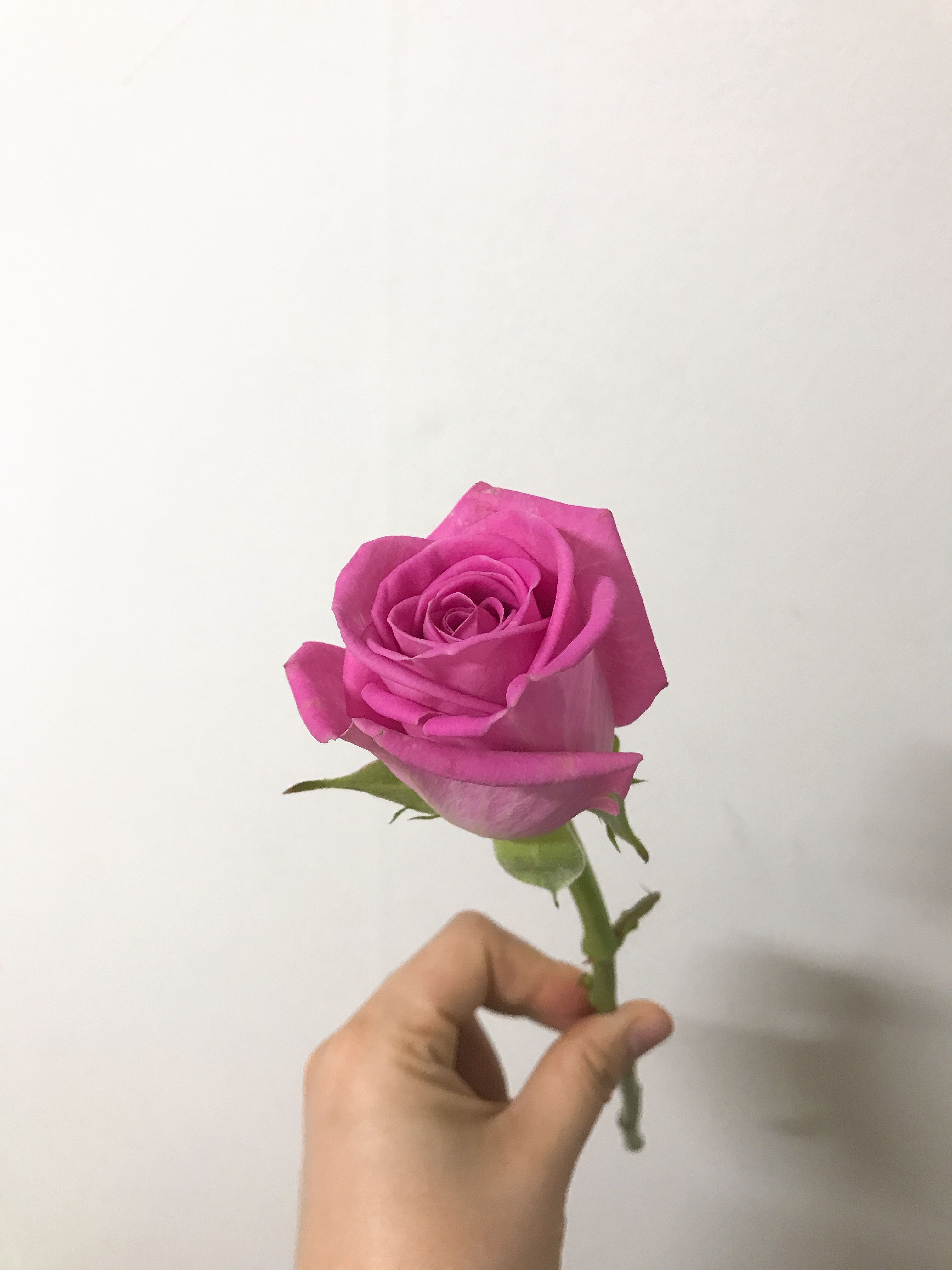 045A2A25-4B76-4386-AF1B-BFA4E6CF4E24.jpeg