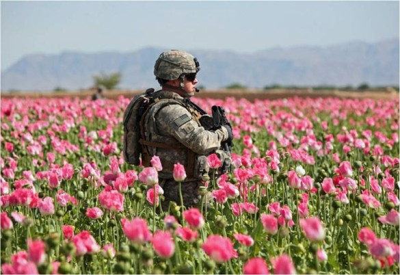 opium-soldier.jpg