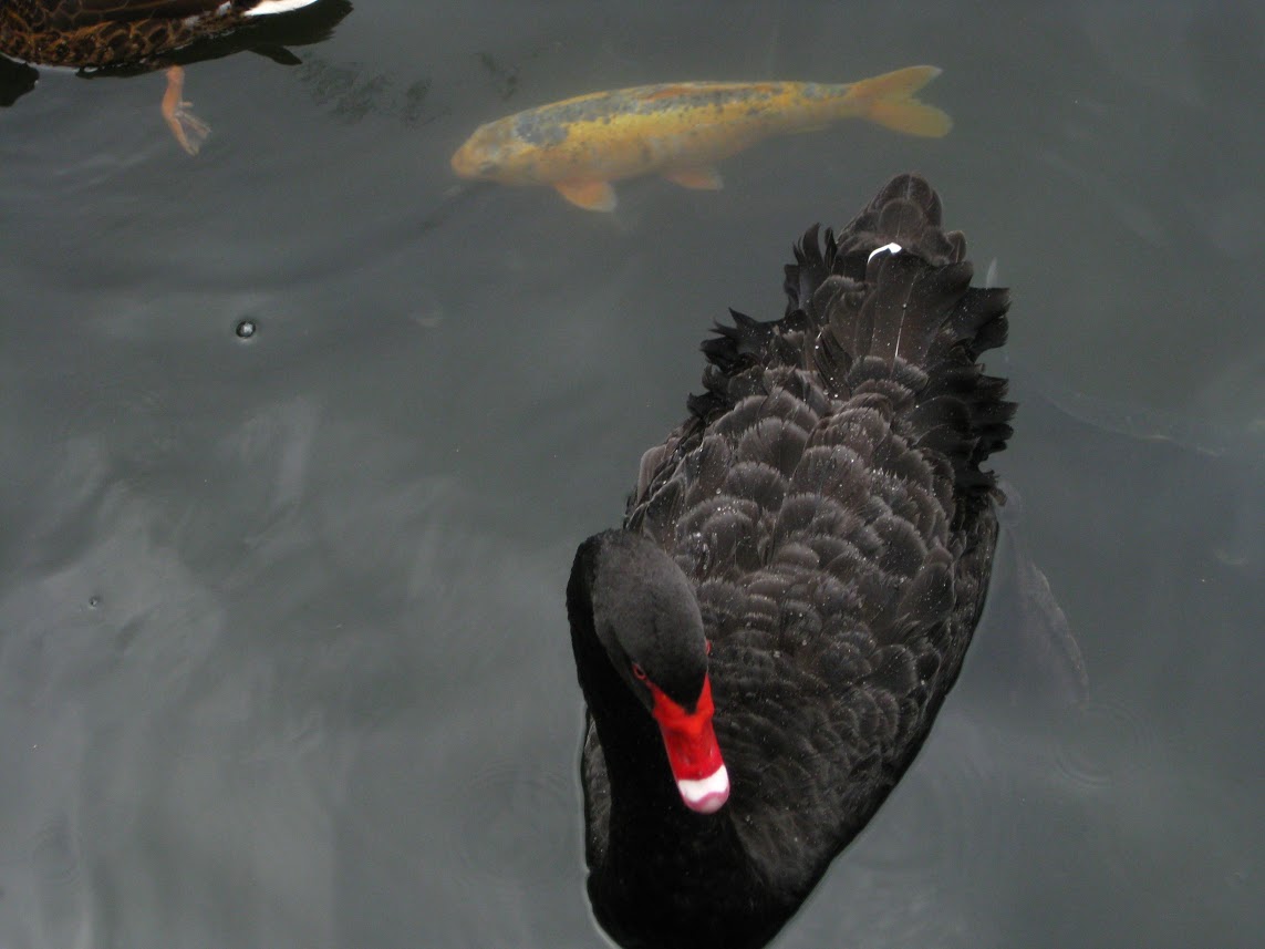IMG_2146.jpg