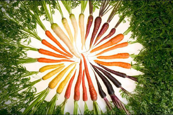 980198_1_0510-carrots_standard.jpg