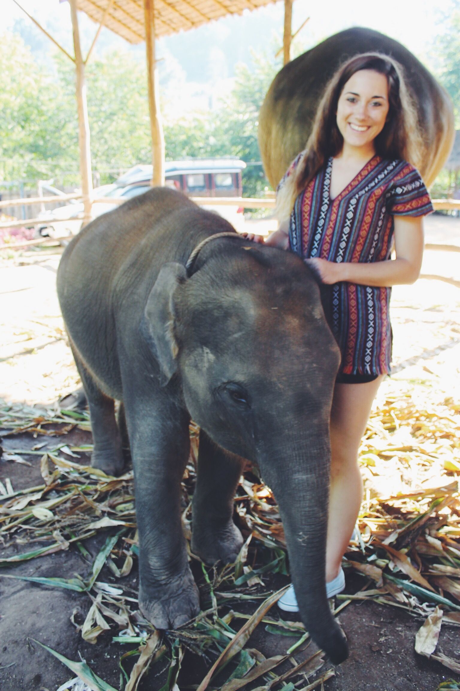elephant sanctuary 06.JPG