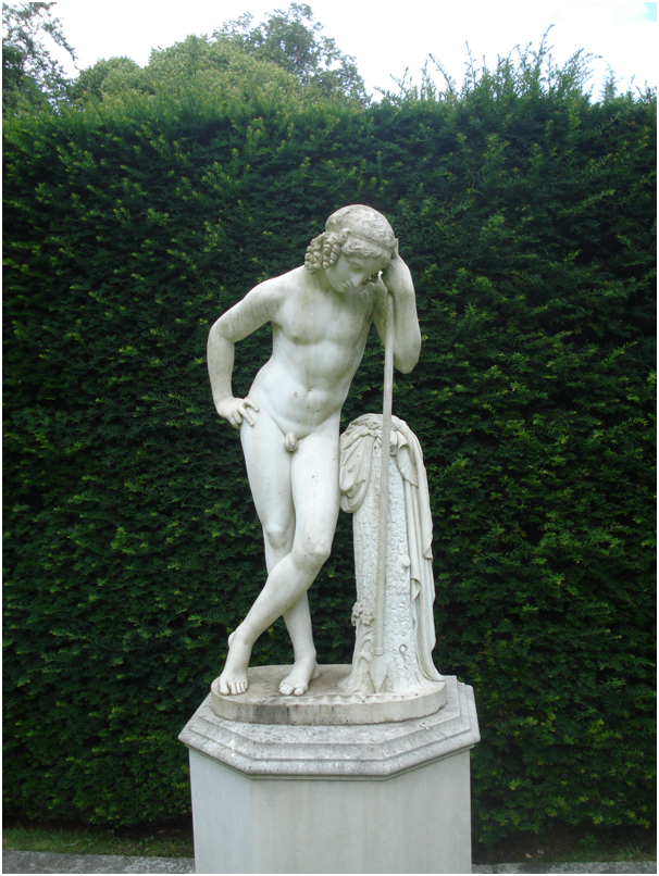 narcissus steemit