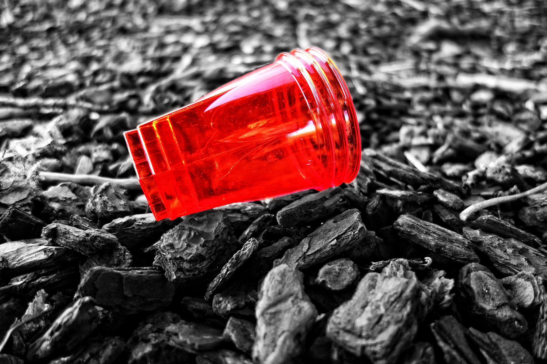 plastic-cup-3147077_1920.jpg