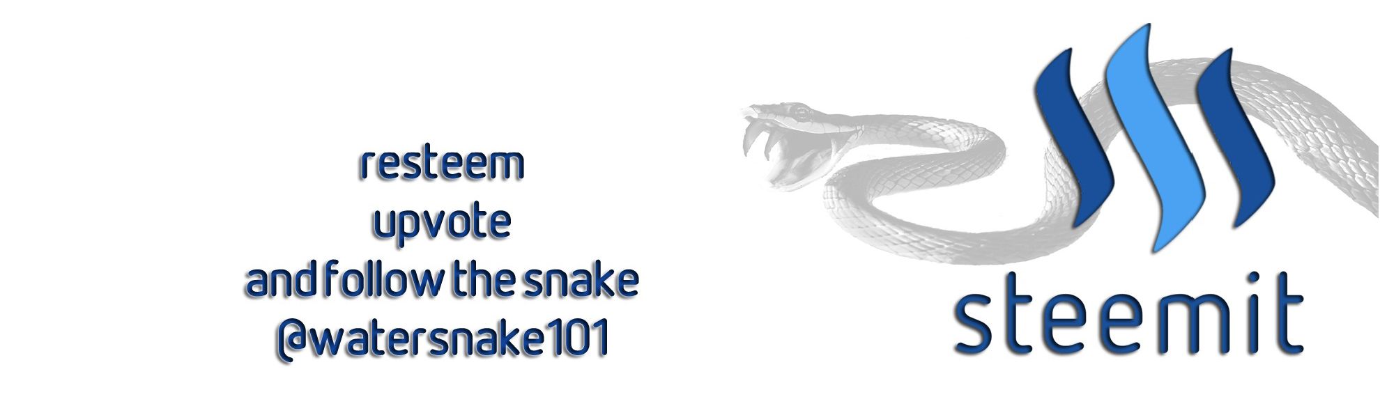 Snake new 2.jpg