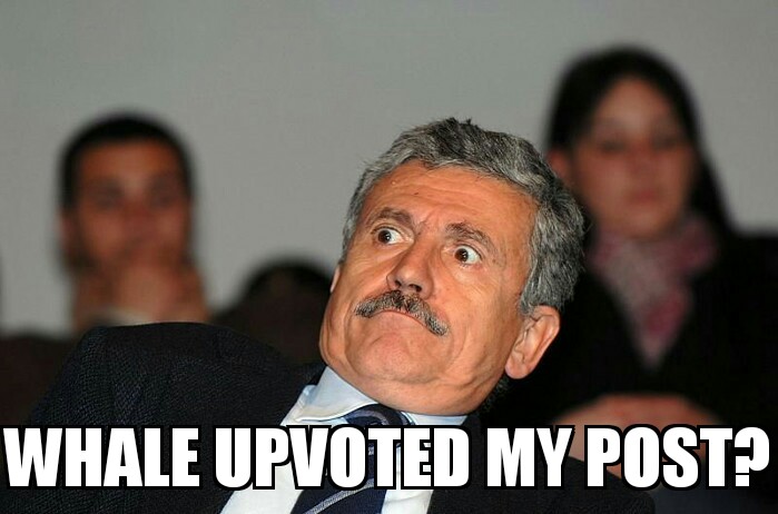 Massimo DAlema 11072017111948.jpg