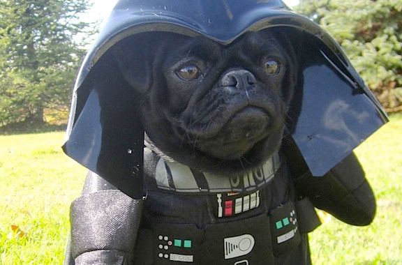 DARTH DOGGY.jpg