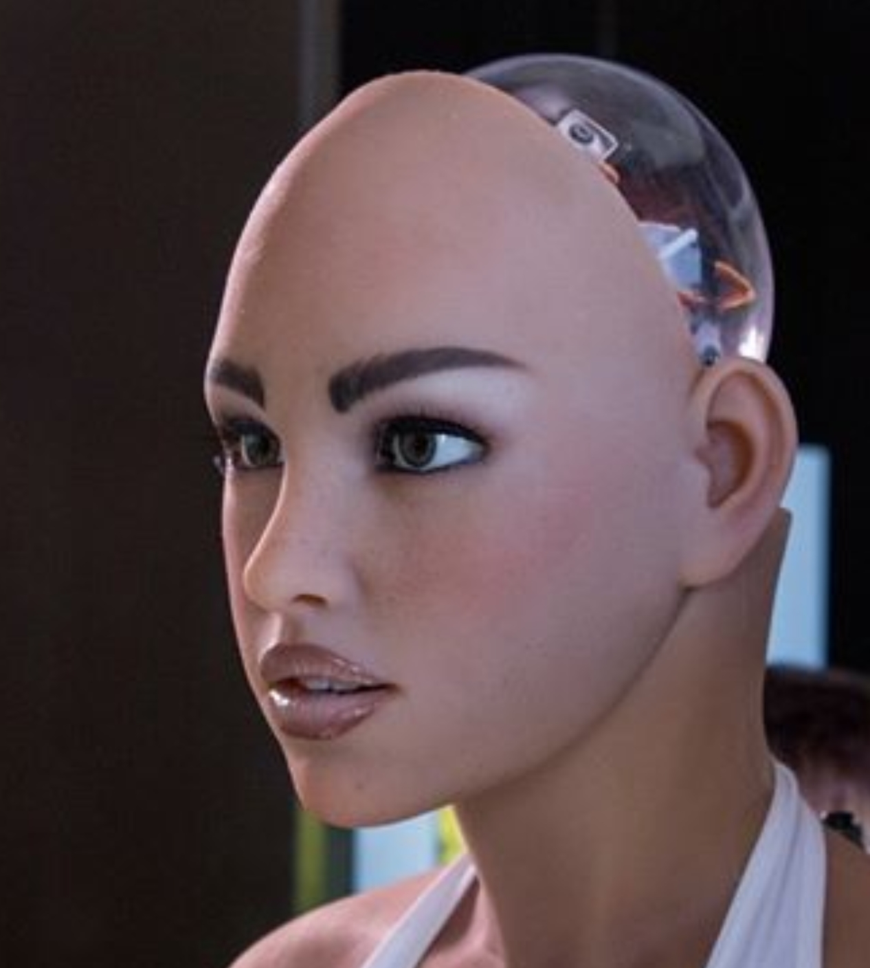 The first sexual robot will be on sale in January. What Harmony