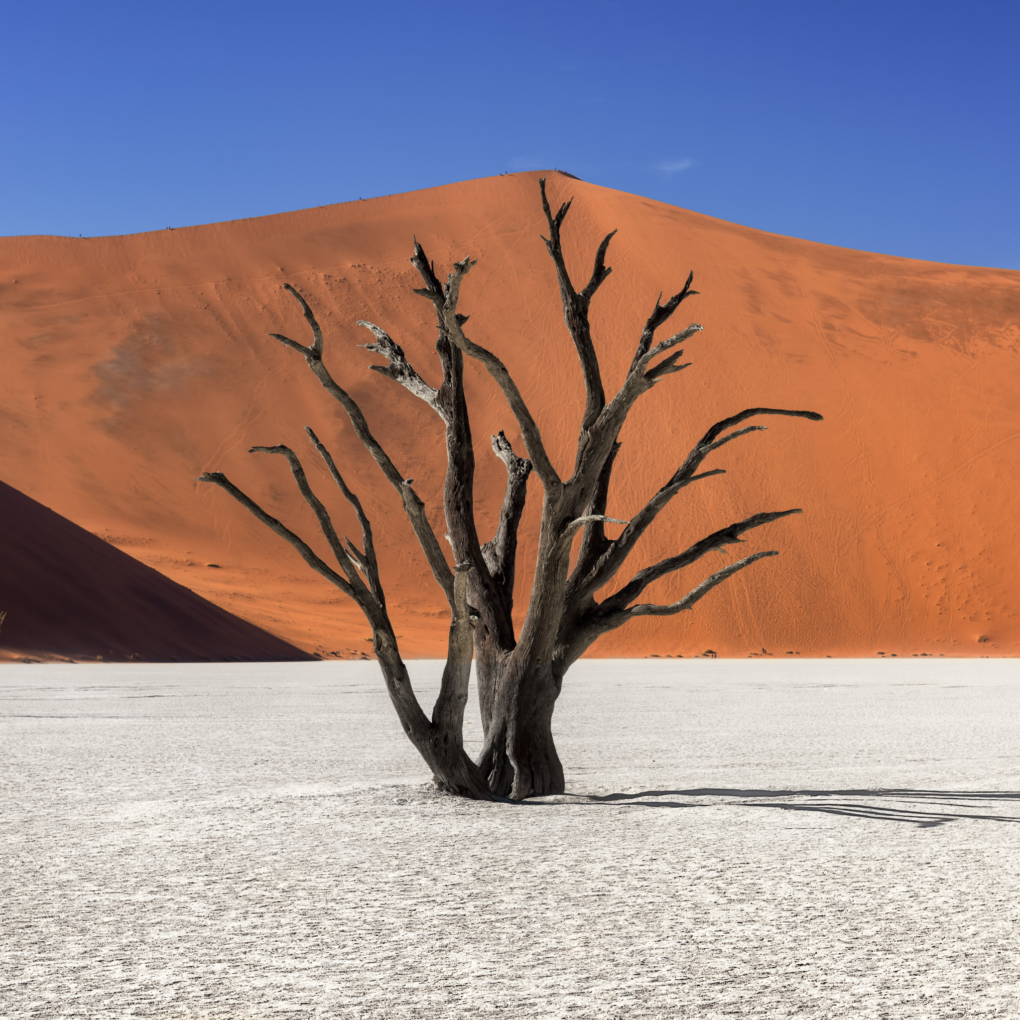 Namibia-6.jpg