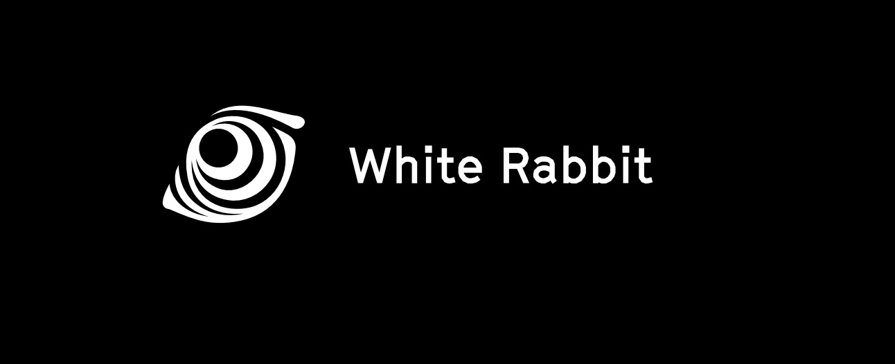 White Rabbit top.jpg