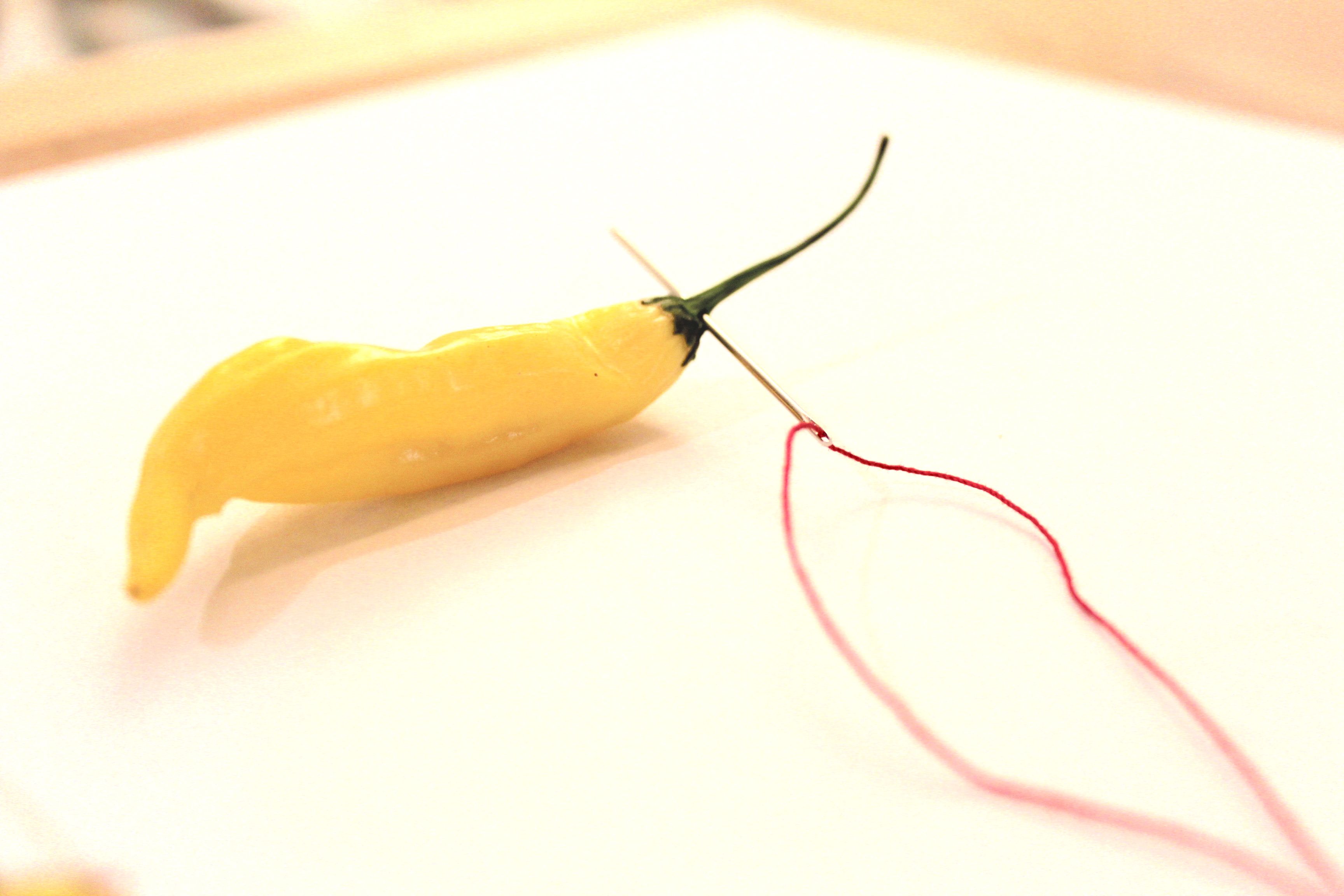 4 single pepper and needle 2017-10-03 12.06.59 copy 2.jpg