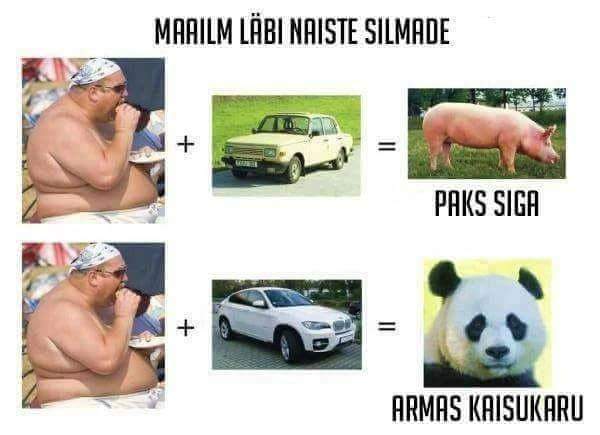 FB_IMG_1519643530643.jpg