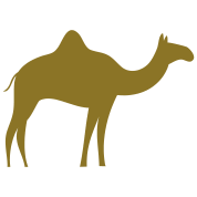 gold-camel.png