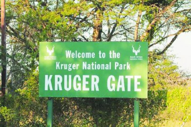 kruger-sign-389x259.jpg
