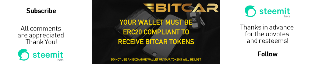 bitcarsteemitfooter11024x210.png