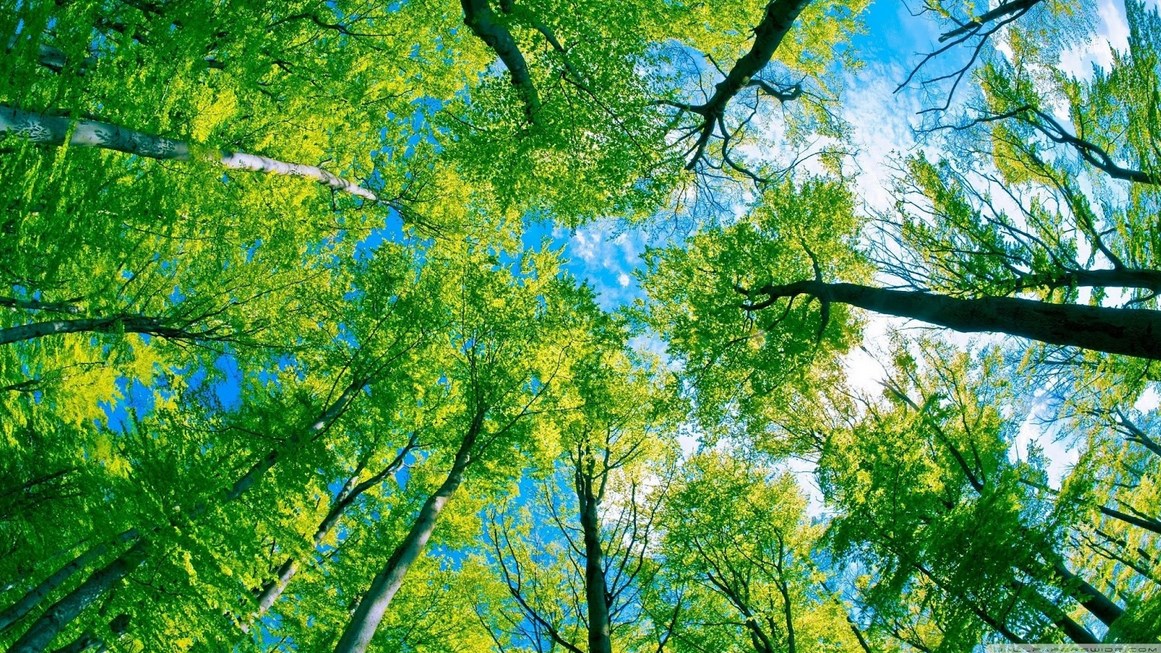 Ide Fotografi Lingkungan Hidup Landscape Dengan konsep natural (1).jpg